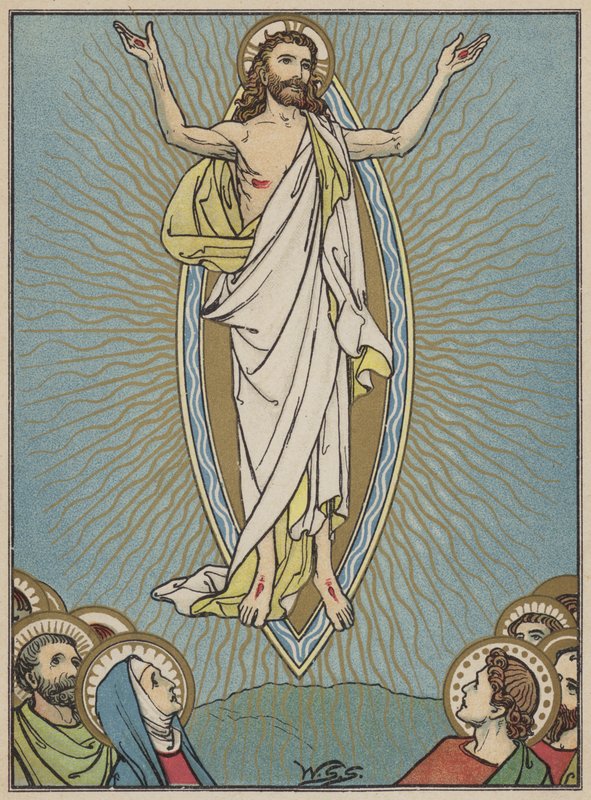 La Ascensión de W.S. Stacey