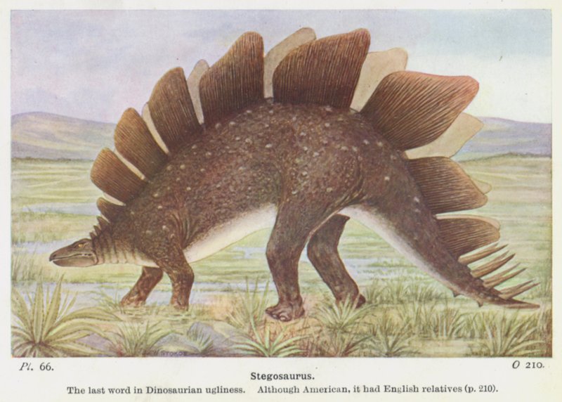 Estegosaurio (litografía en color) de W. J. Stokoe