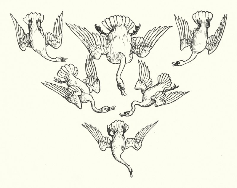 Los seis cisnes de Walter (after) Crane