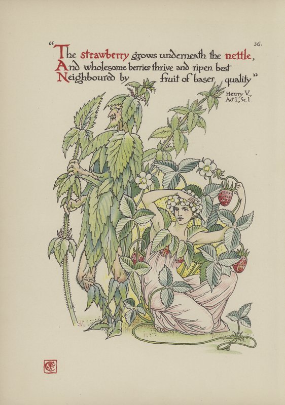 Flores del Jardín de Shakespeare de Walter Crane