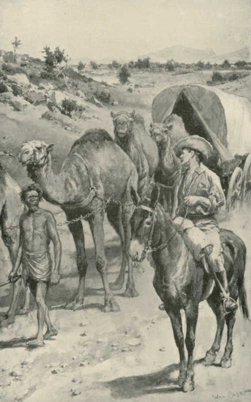 Una Caravana de Camellos, Australia Occidental de Walter Stanley Paget