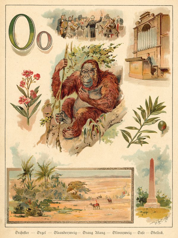 Letra O de Walter Zweigle
