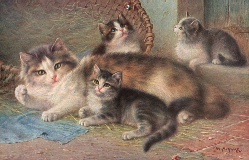Postal felina (litografía en color) de Wilhelm Schwar