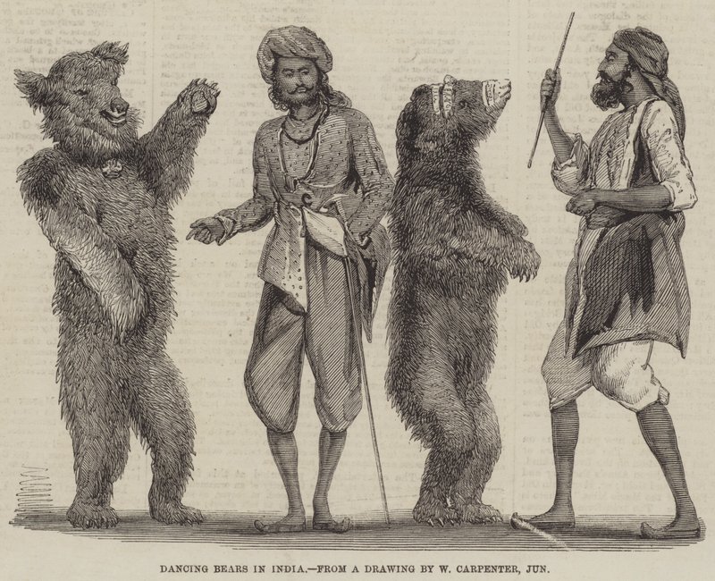 Osos bailarines en India de William Carpenter