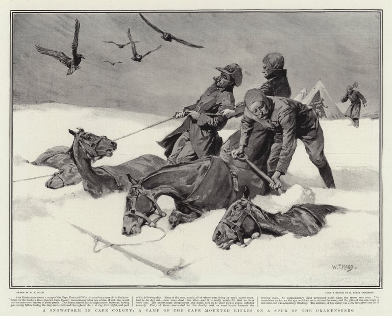 Una tormenta de nieve en la Colonia del Cabo, un campamento de los Rifles Montados del Cabo en un espolón del Drakensberg de William T. Maud