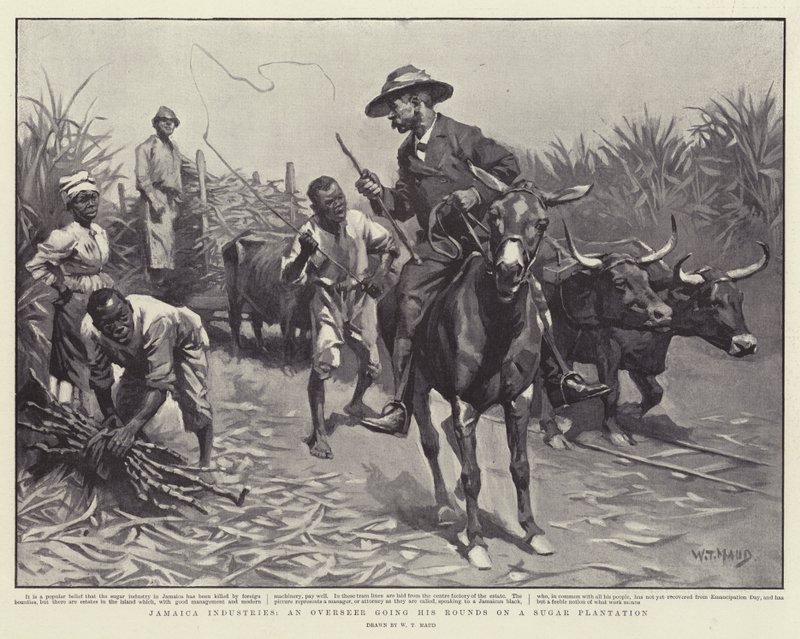 Industrias de Jamaica, un Supervisor haciendo sus rondas en una Plantación de Azúcar de William T. Maud