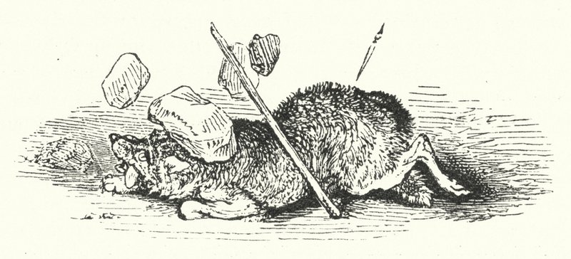 La muerte del lobo de William (after) Harvey