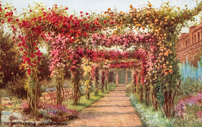 La pérgola de rosas, Jardines de Kew de William Affleck Carruthers