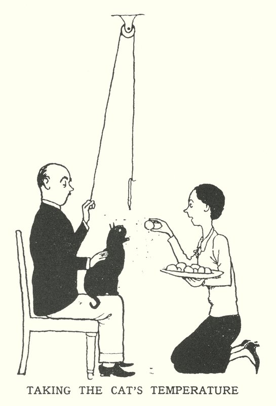 Tomando la temperatura del gato de William Heath Robinson