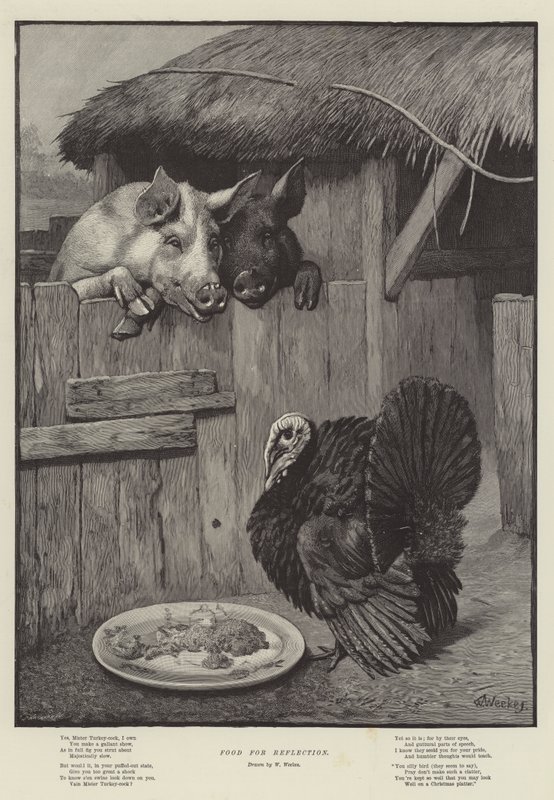 Alimento para la reflexión de William Weekes