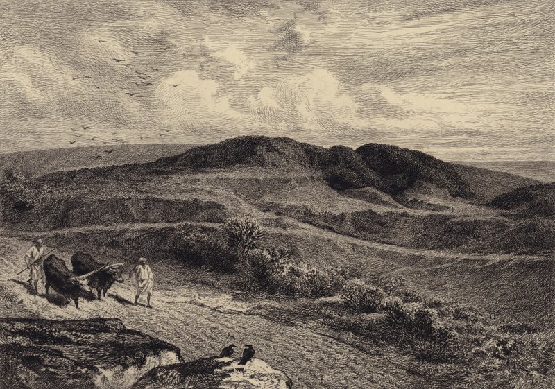 Parábola del sembrador de after Albert Robida