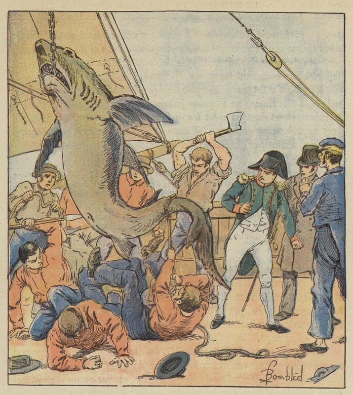 Captura de un tiburón de after Louis Charles Bombled